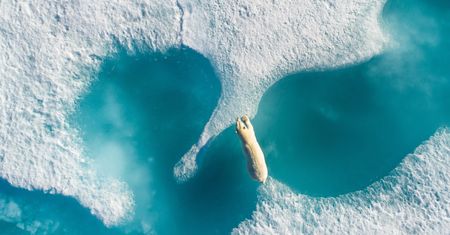Najlepsze zdjęcia z dronów według DJI, czyli wyniki konkursu SkyPixel 2017