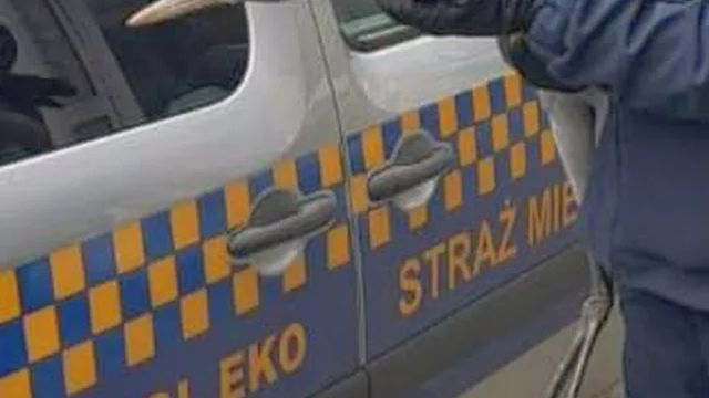 Mężczyzna w rękawicach trzyma bociana obok radiowozu Straży Miejskiej z napisem "PATROL EKO".