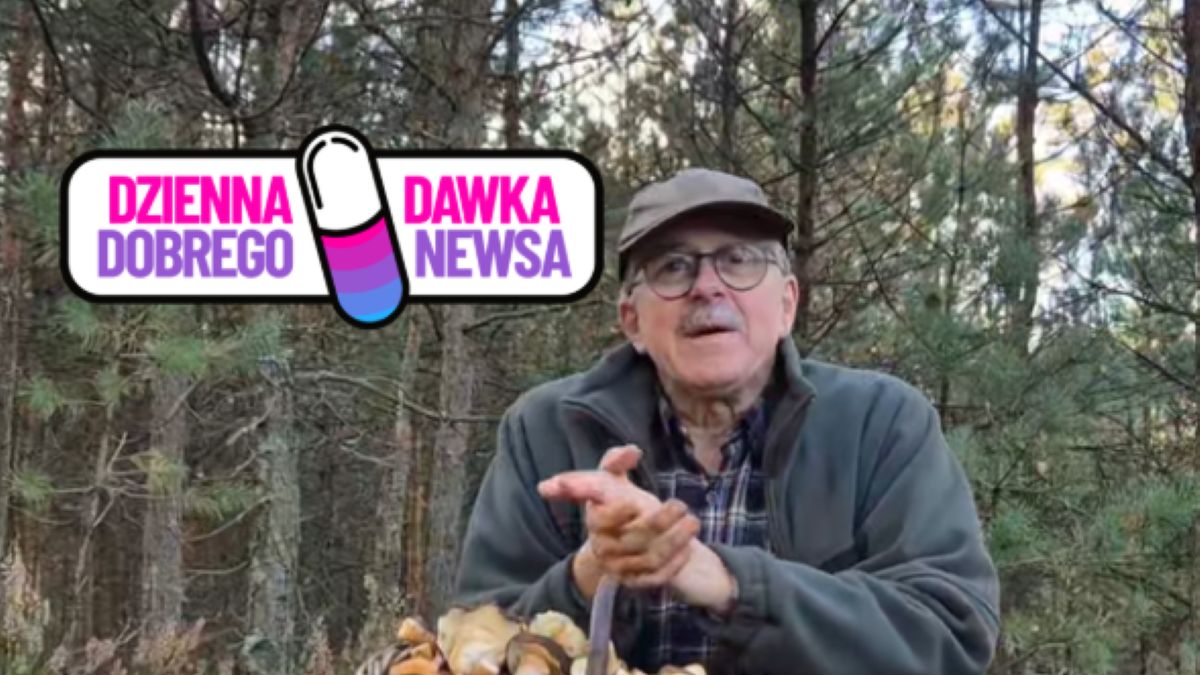 Dobra wiadomość prosto z lasu. Grzybiarze będą zachwyceni