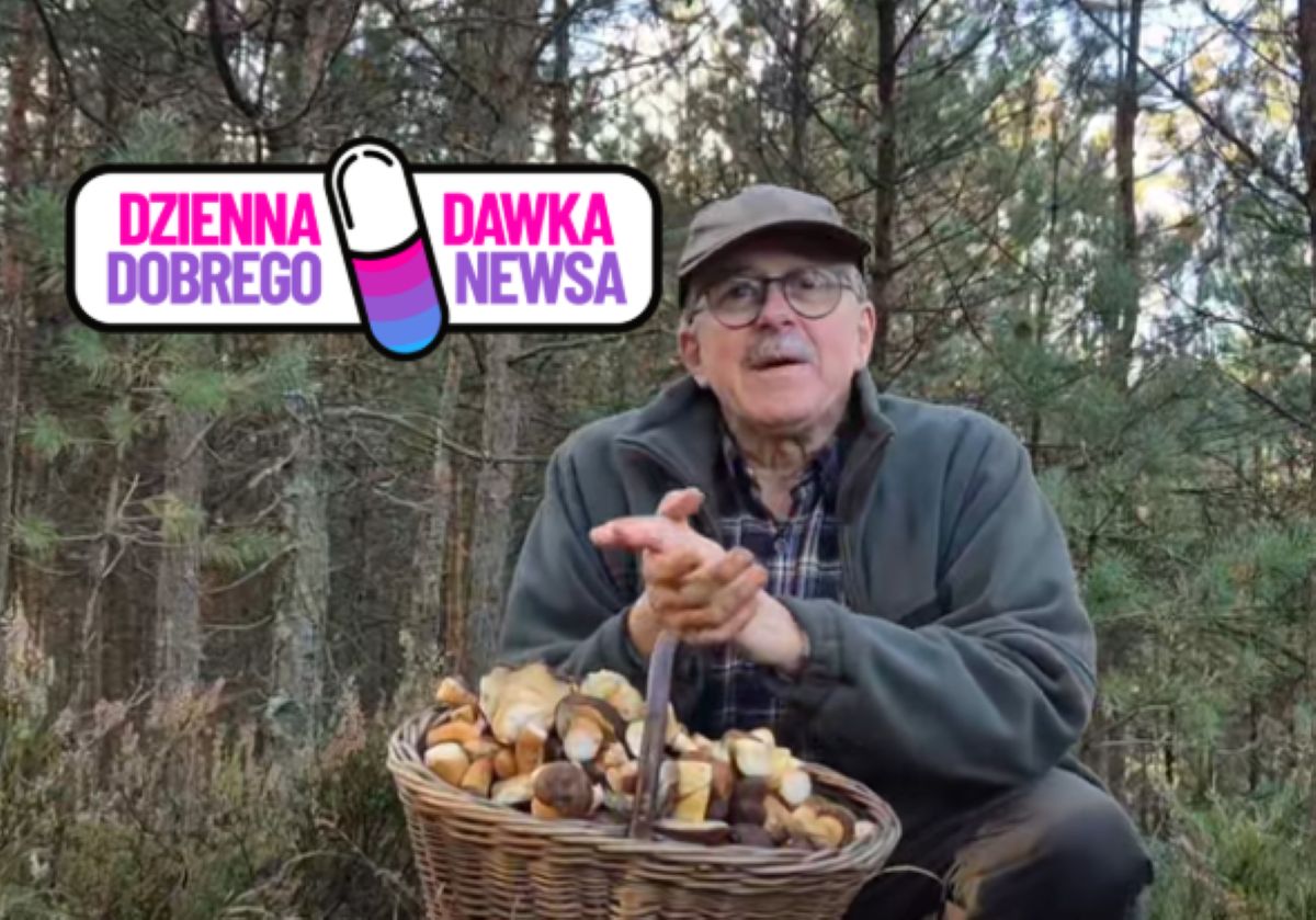 Znakomite wieści dla grzybiarzy. Pojawiły się już w lasach