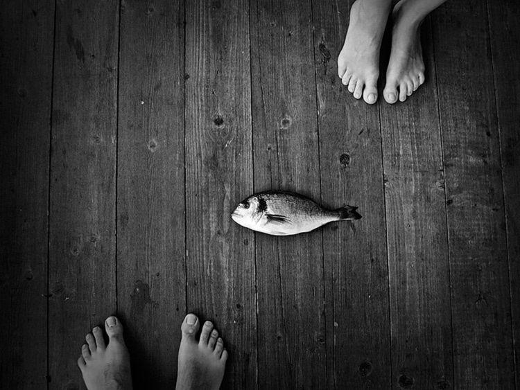 Nagrodzone prace w konkursie LensCulture Exposure Awards 2015. Dominika Gęsicka wśród finalistów 28