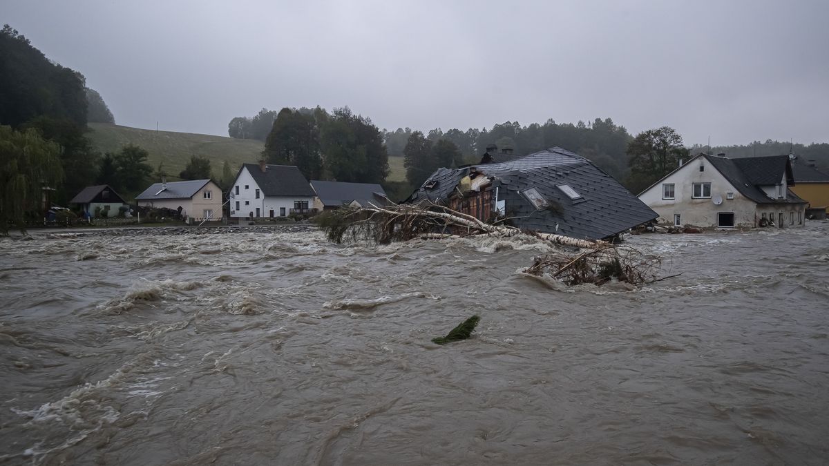 Czechy mierzą się z dramatycznymi skutkami powodzi.