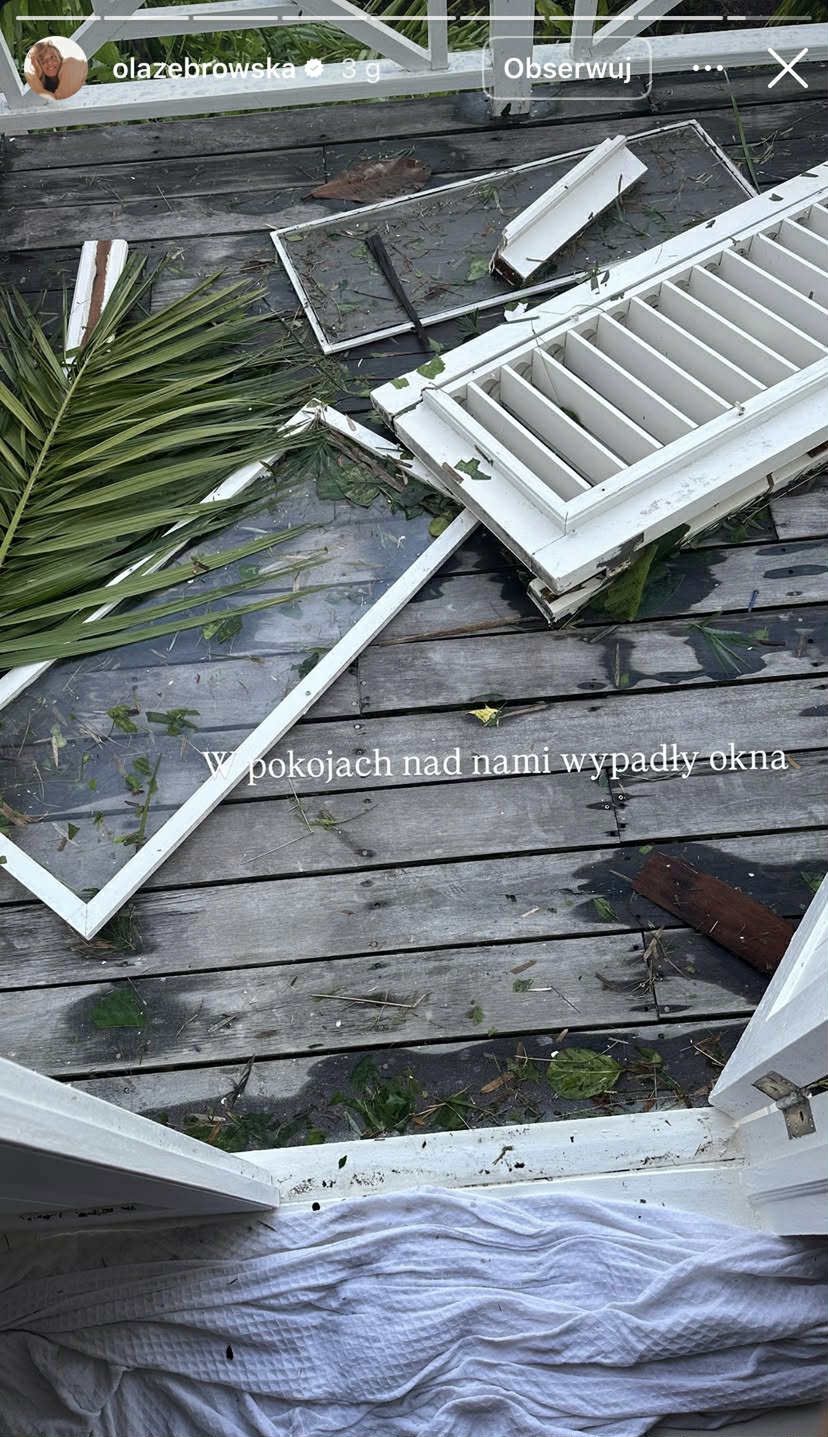 Żebrowscy na Jamajce, nowe materiały