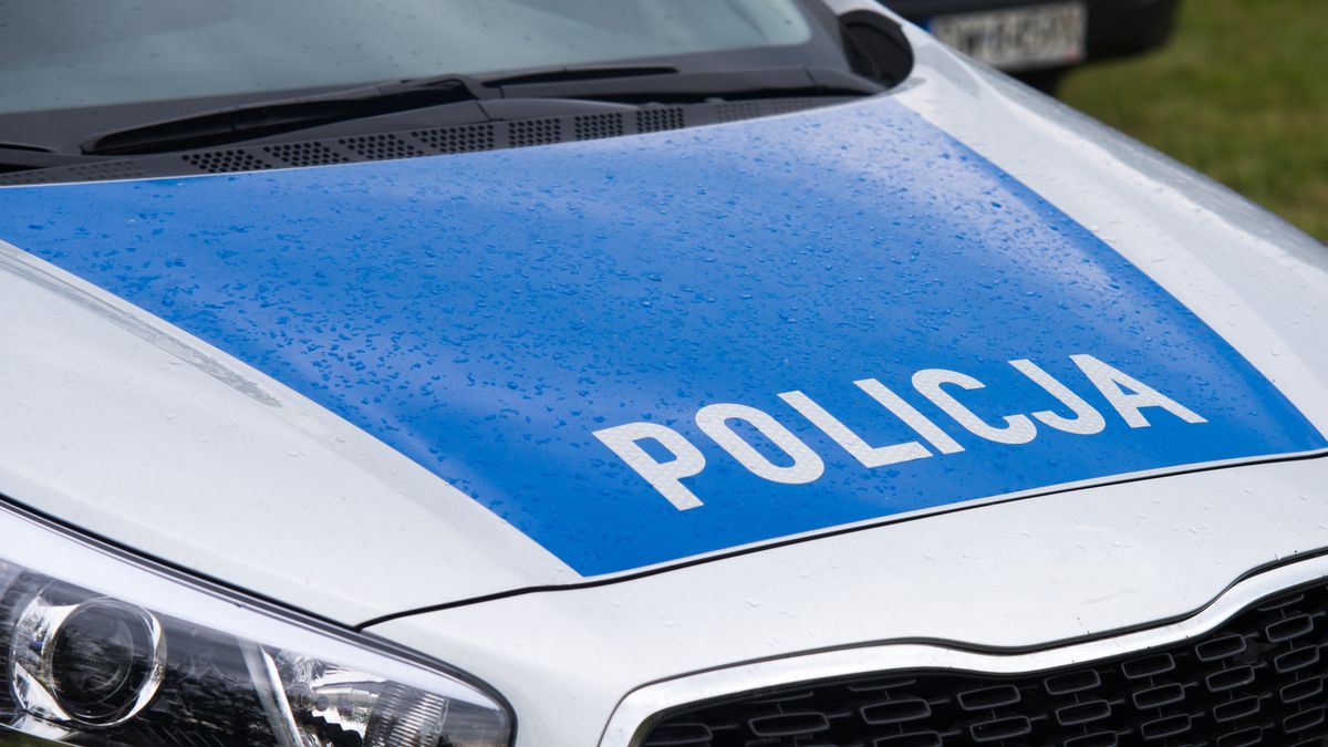 Znak policji na radiowozie polskiej policji