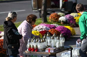 Ile kosztują chryzantemy? Można się złapać za głowę