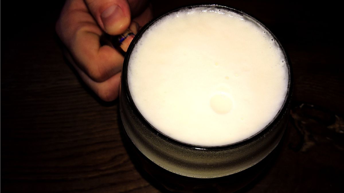 Hand holding Glass of Beer
Chilled Glass of Beer - Top view
MichaelL