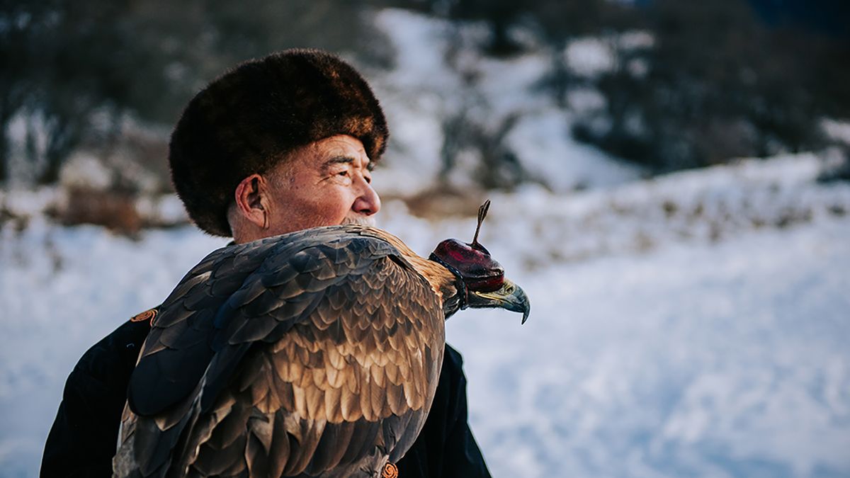 Patryk Biegański sfotografował kazachskiego trenera orłów. Ta więź jest piękna 1