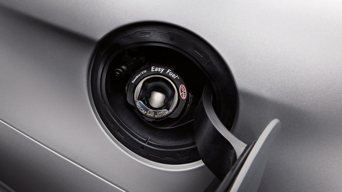 Z zasady system Easy Fuel ma ułatwiać tankowanie, ale z drugiej strony, nie jest pozbawiony wad
