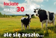 Mleko Łaciate ma 30 lat. Co wiemy o jubileuszowej kampanii? 