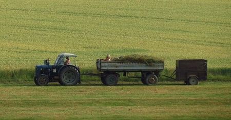 Działy produkcji rolnej – co to jest?