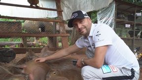 Kajetanowicz i kapibary. Polak rozchwytywany w Paragwaju