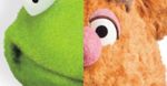 ''Muppety'': Kto jest kim w świecie kukiełek? [foto]