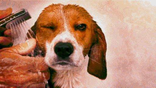 Wbrew pozorom to nie jest zdjęcie! 1