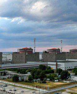 "Zostało 10 dni". Odcięli prąd elektrowni atomowej