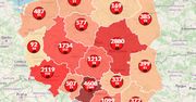 Koronawirus w Polsce. 265 nowych przypadków. Na świecie blisko 300 tys. ofiar [Mapa]
