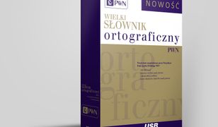 Pendrive. Wielki słownik ortograficzny PWN z zasadami pisowni i interpunkcji.