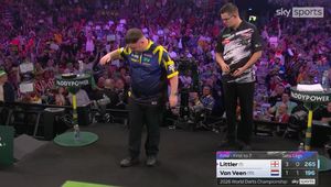 Mistrz świata walczył z osą. Sceny w meczu finałowym