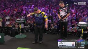 Mistrz świata walczył z osą. Sceny w meczu finałowym