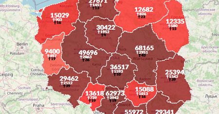 Koronawirus w Polsce. Rekord zgonów. Zmarło 445 osób [Aktualna mapa]