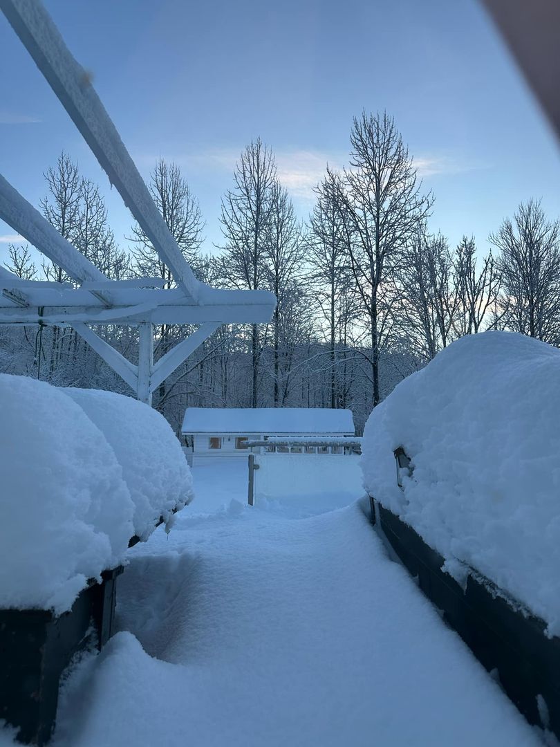 Norwegia pod śniegiem. Czytelniczka o2.pl pokazała zdjęcia