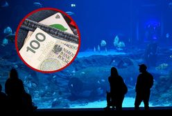 Matka nie może uwierzyć. Pokazała rachunek z zoo