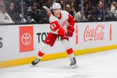 Hokej: NHL - mecz: Detroit Red Wings - Minnesota Wild