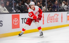 TVP Sport HD Hokej: NHL - mecz: Detroit Red Wings - Minnesota Wild