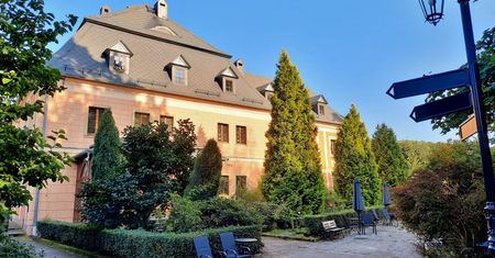 Z pasji do antyków. Odczarowali historię Pałacu Książęcego we Wleniu