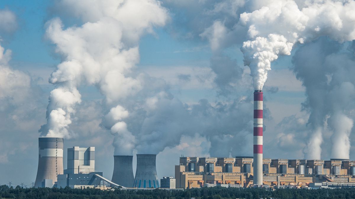 Na zdjęciu kominy Elektrowni Bełchatów, widok od strony gminy Kleszczów