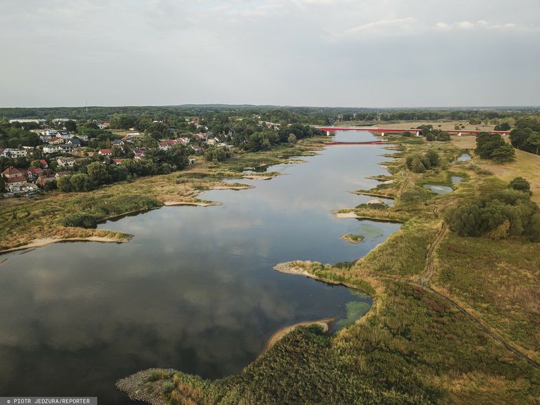 Branża turystyczna w Niemczech odczuła skutki zatrucia Odry. Nagły koniec sezonu