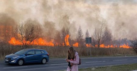 Pożary traw w Lublinie. Od początku roku doszło do niemal 230 interwencji