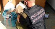 Straż Graniczna złapała handlarzy nielegalnym tytoniem. W magazynie była też marihuana