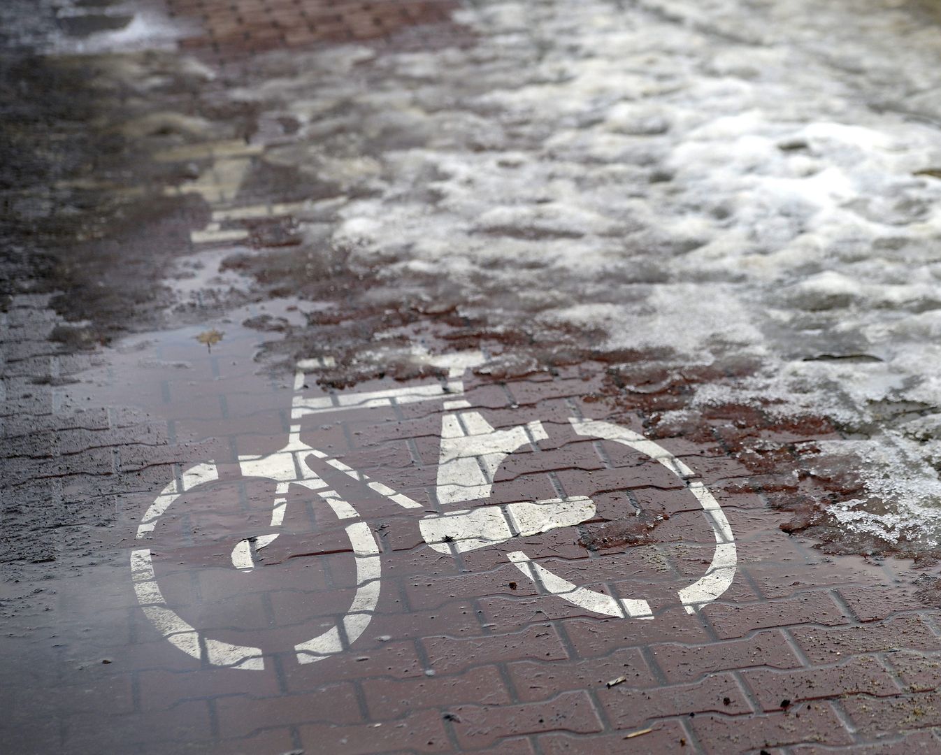 Warszawa. Ścieżki rowerowe nie będą odśnieżane. Aktywiści protestują