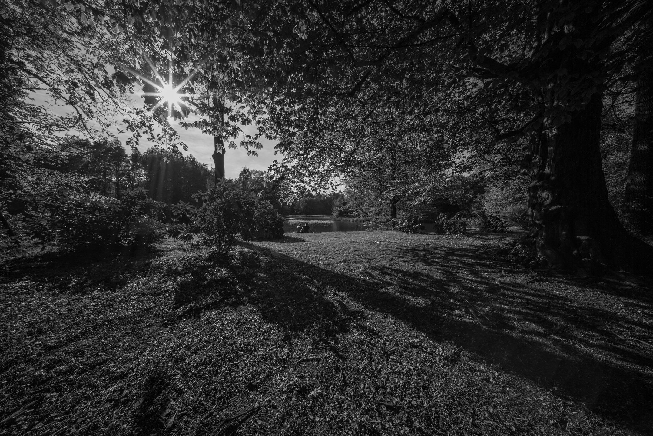 Voigtlander 10 mm f/5.6 Hyper Wide Heliar Aspherical - test spektakularnego hiperobiektywu 25