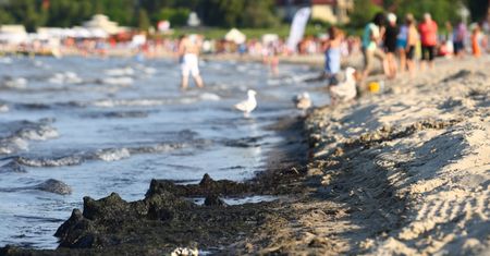 Niepokojące prognozy na wakacje. W Bałtyku szykuje się duży zakwity sinic