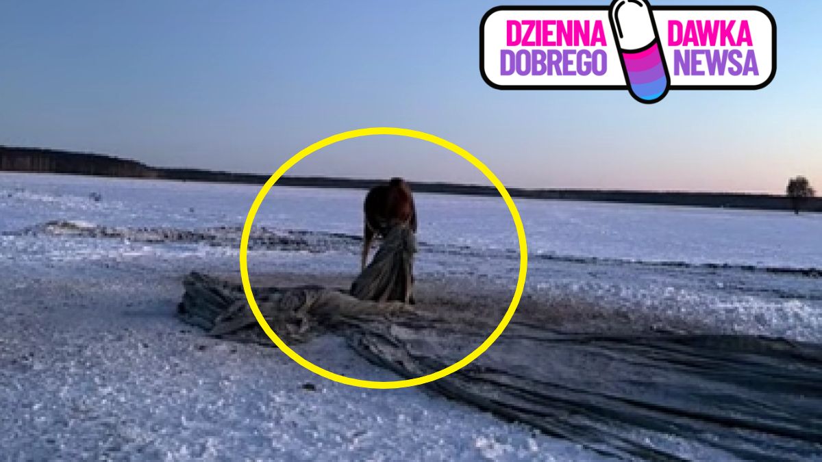 Udało się uratować zwierzę