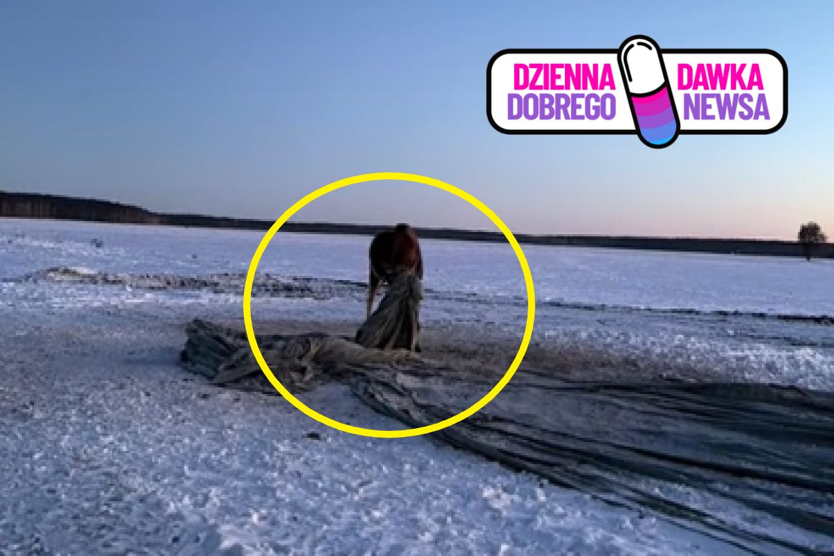 Było minus 13 stopni. Łoś zaplątał się w maty. Pomogli leśnicy