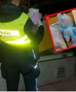 Zatrzymali busa. Funkcjonariusze przejęli tysiące podrobionych Labubu
