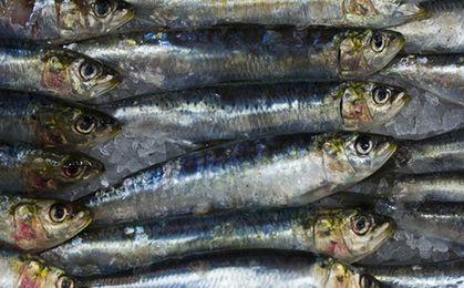 Spożycie ryb w Polsce rośnie dynamicznie