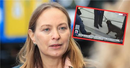 Pełczyńska-Nałęcz przyszła do Sejmu z psem. Wskazała powód