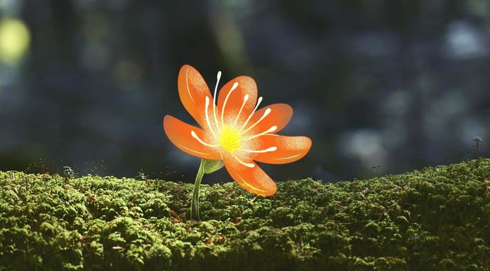 Przerażająca tajemnica kwiatów