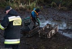 Zaginiony ugrzązł w błocie. "Był mocno wychłodzony"