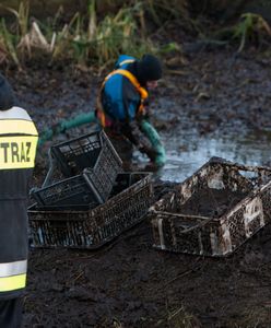 Zaginiony ugrzązł w błocie. "Był mocno wychłodzony"