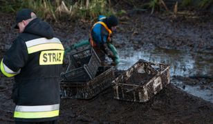 Zaginiony ugrzązł w błocie. "Był mocno wychłodzony"