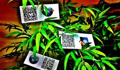 Kody QR wracają do łask