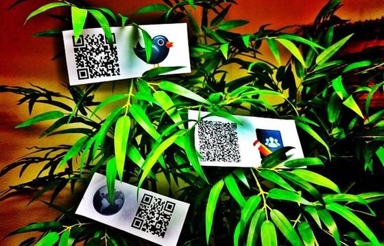 Kody QR wracają do łask