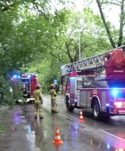 Służby w akcji. Skutki ulewy w Lublinie