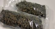 Płoccy policjanci zatrzymali 31-latka z ponad pół kilograma marihuany!