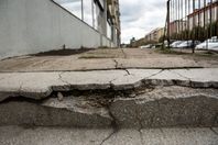 chwasty, zieleń, Piła