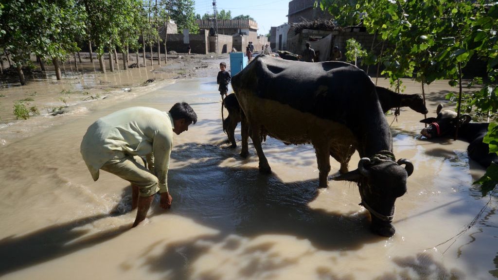 Pakistańskie ofiary powodzi w prowizorycznym obozie